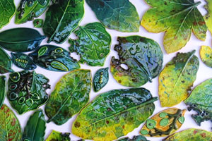 Leaf Wall Art