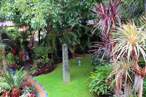 The Garden
