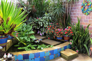 The Garden Pool