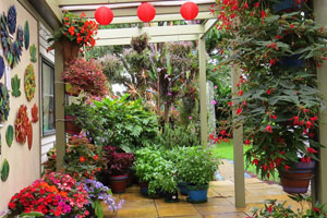 The Garden with Wall Art
