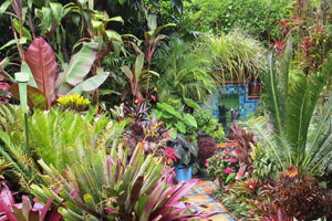 The Garden