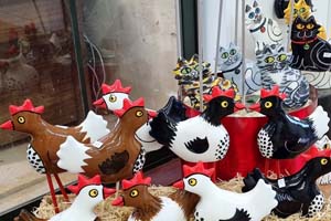 Cats and Chickens