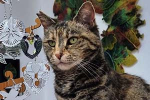 Miss Betty Binky